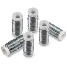 Load image into Gallery viewer, Amagabeli 0.44MM X 50G X 6PCS Bobine de Fil de Fer Galvanisé pour Bijou Perle Fabrication Artisanaux pour Arrangement et décoration Argent
