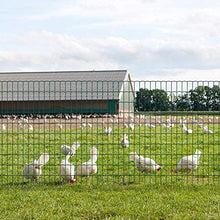 Load image into Gallery viewer, Amagabeli 1.2M X 25M Grillage Résidentiel Fil 2,2mm Mailles 100x75cm Grillage de Clôture RAL6005 Vert Maille Clôture de Jardin Métallique Grillage Jardin Bordure de Jardin Pelouse Clôture HC04
