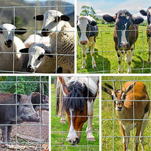 Load image into Gallery viewer, Amagabeli 50M Clôture à gibier à toute épreuve 100/8/15 Clôture de prairie galvanisé à chaud Clôture forestière pour Plantes et Animaux Clôture de Fil Galvanisée Élevage Volaille Clôture à nœuds HC07
