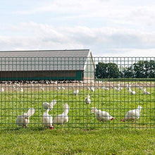 Load image into Gallery viewer, Amagabeli 1.22M X 25M Carré Grillage Résidentiel Vert Grillage de Clôture Fil Maillage 50 x 100mm Maille Clôture de Jardin Métallique Grillage Jardin Bordure de Jardin Pelouse Clôture
