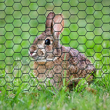 Load image into Gallery viewer, Amagabeli 1M x 25M Grillage à Poule Cloture Jardin 25.4mm RAL6005 PVC Maille Fine Hexagonal Grillage poulailler Hexagonal Grillage Triple Torsion Bordures Jardin Grillage Voliere HC05
